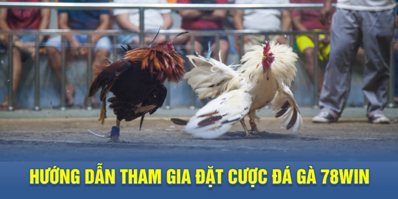 Hướng dẫn tham gia đặt cược đá gà 78WIN